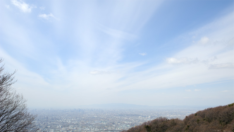 今月の壁紙