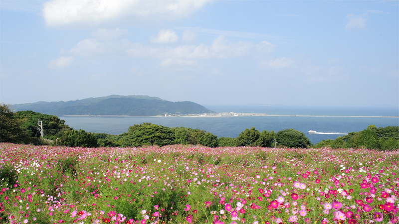 今月の壁紙