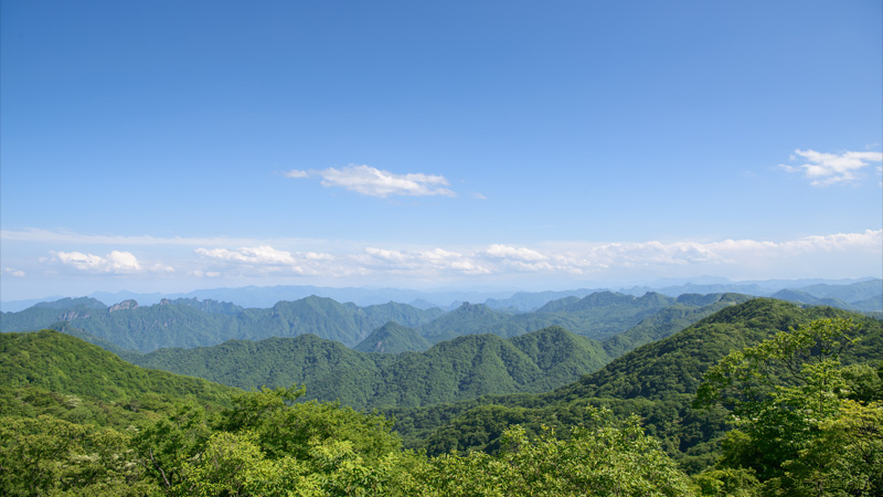 今月の壁紙