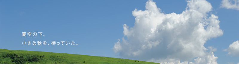 夏